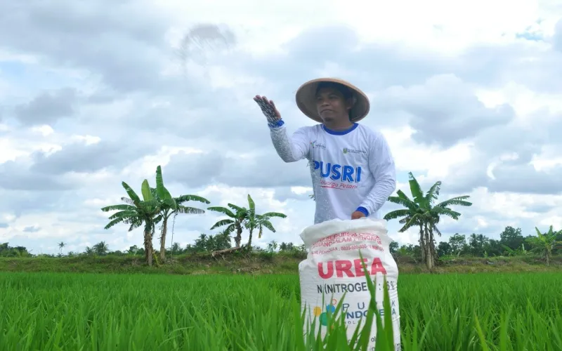 Situbondo Dapat Kuota Pupuk Subsidi 30.626 Ton Tahun Ini