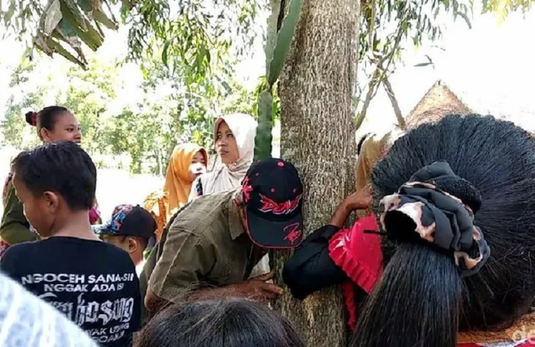 Salah satu warga yang berusaha mendengarkan suara rintihan menangis pohon di Jember. SP/ JBR