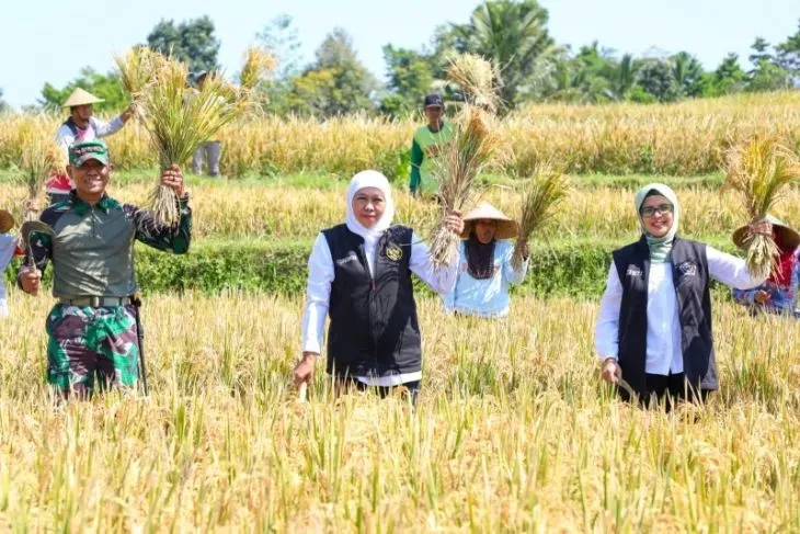 Gubernur Khofifah Apresiasi Inovasi Petani di Jatim