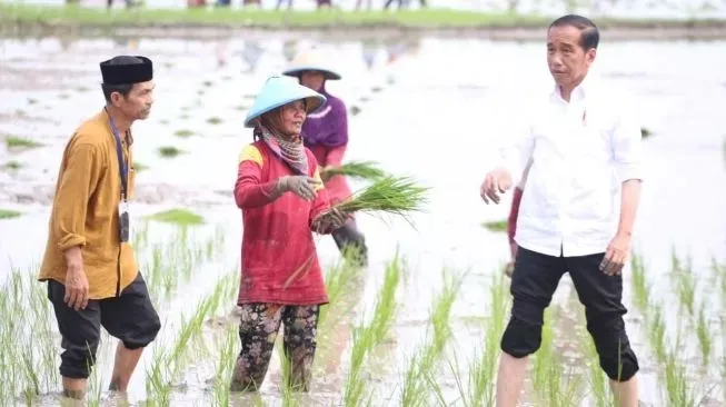 DKP2P Tuban Pastikan Tak Ada Keterlambatan Distribusi Pupuk