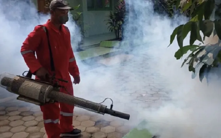 Ratusan Warga Blitar Terjangkit Wabah DBD, Mayoritas Anak-Anak