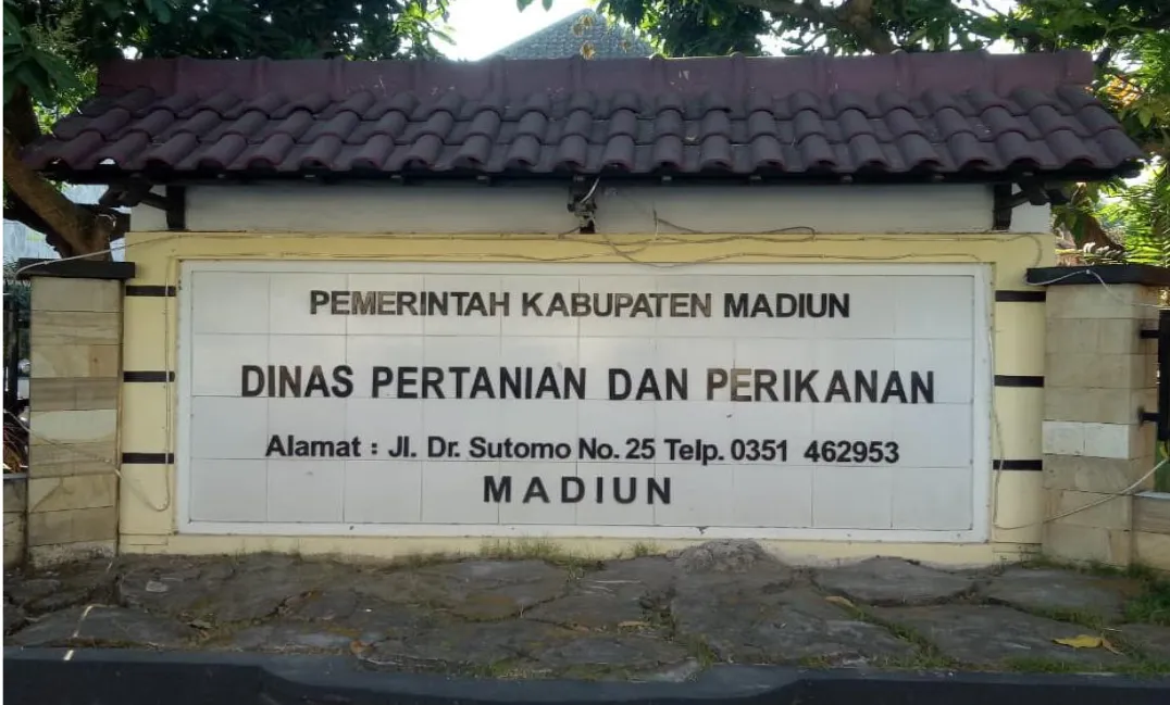 Luas Tanam Buah Melon di Kabupaten Madiun Meningkat