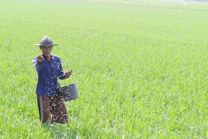 Serapan Pupuk Bersubsidi di Kabupaten Madiun Masih Rendah