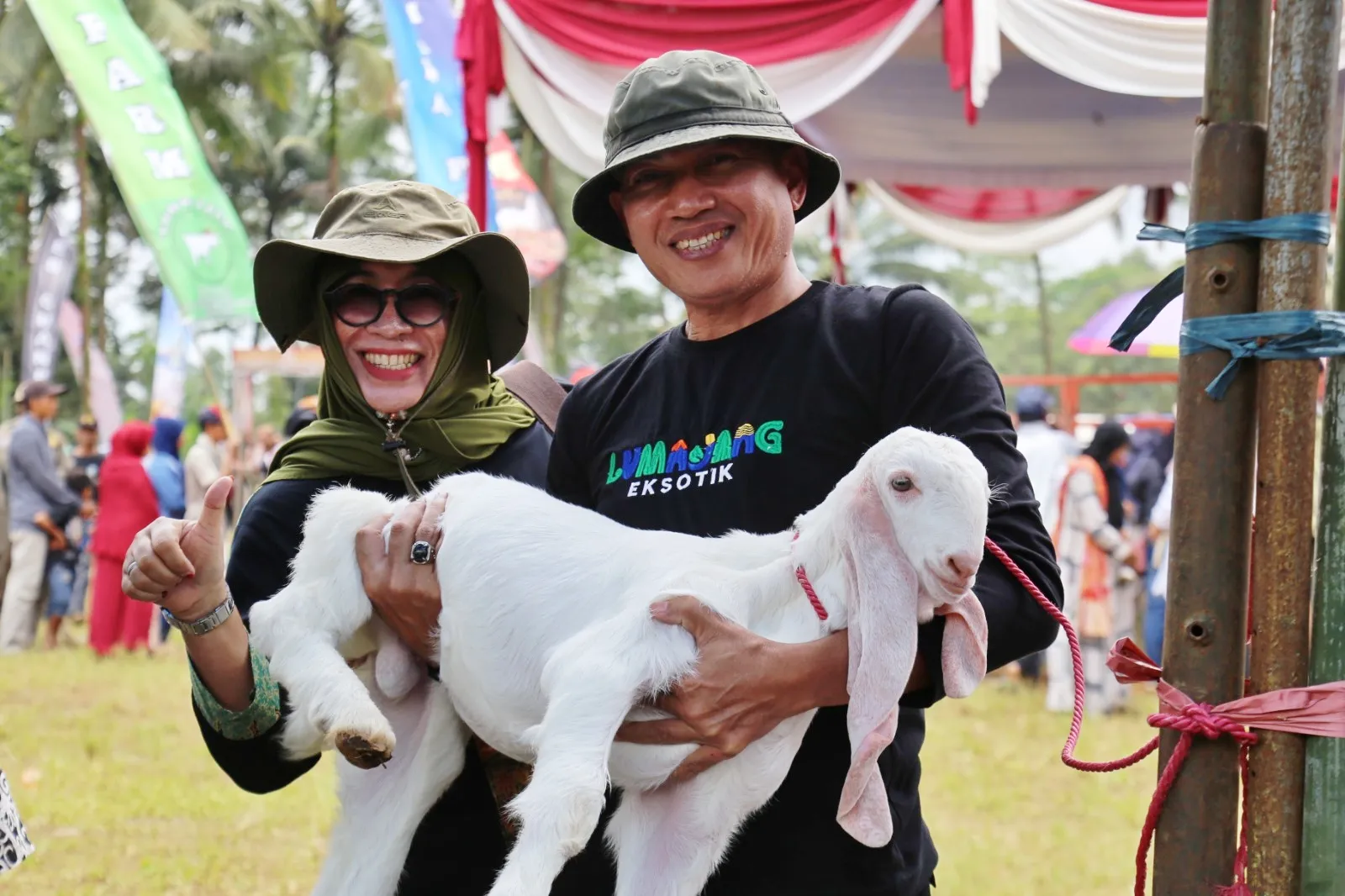 Kontes Kambing Senduro Diharapkan Dongkrak Perekonomian Lumajang