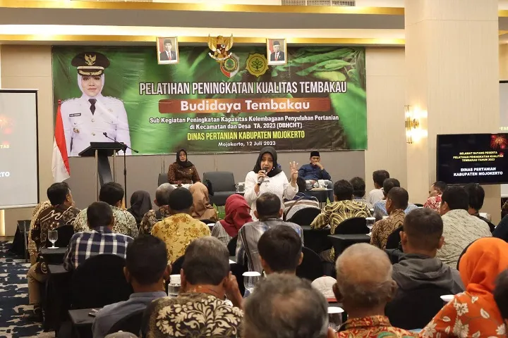 Bupati Ikfina Buka Pelatihan Peningkatan Kualitas Tembakau