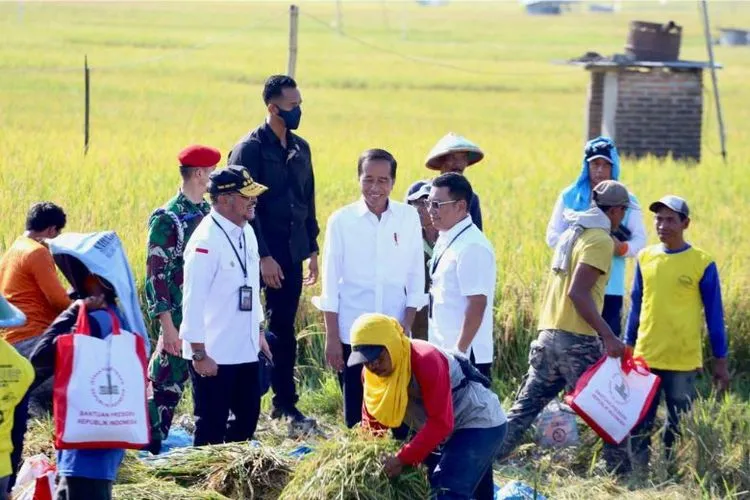 Ngawi Dipilih Sebagai Penyangga Lumbung Pangan Dampak El Nino