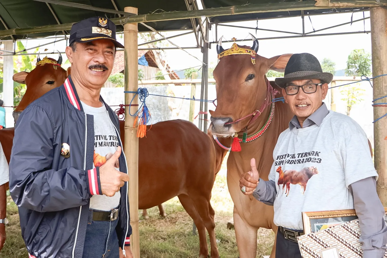 Madura Sumbang 30 Persen Populasi Sapi di Jatim