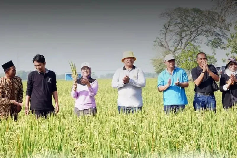Bupati Madiun Dorong Petani Gencarkan Penggunaan Pupuk Organik