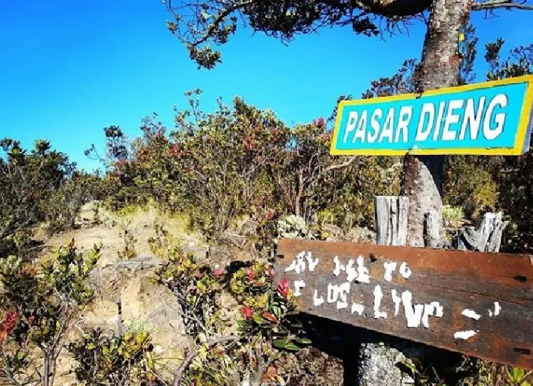 Misteri Pasar Setan Gunung Lawu, Tak Mau Transaksi Akan Sial dan Disesatkan