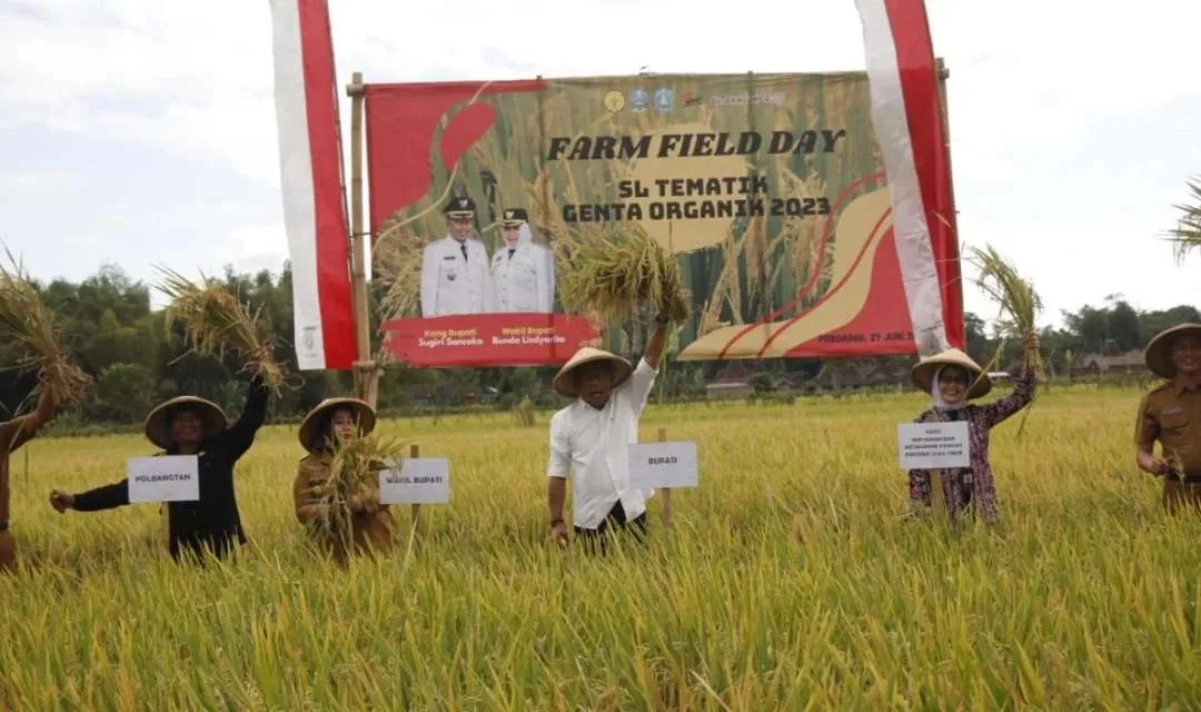 Rojo Koyo Petani di Ponorogo Tumbuhkan Ekonomi Masyarakat Pedesaan
