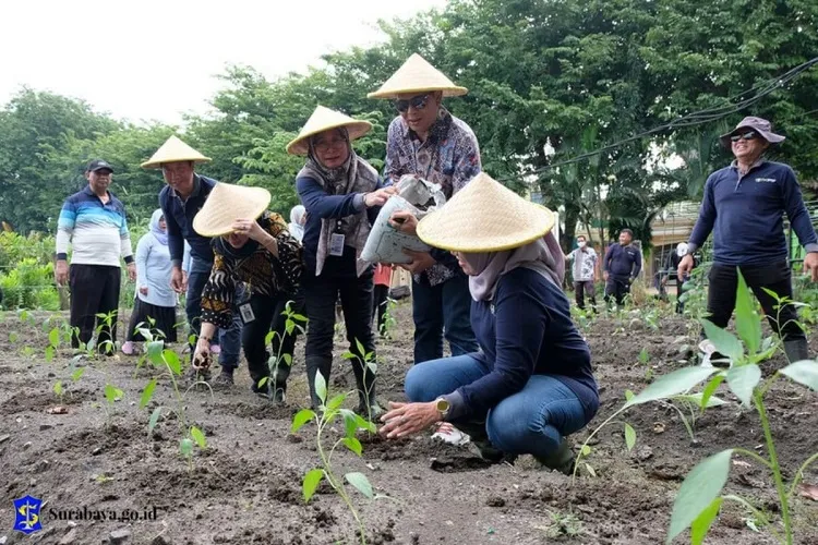 Antisipasi Dampak El Nino, Pemkot Surabaya Tanam 9 Bahan Pangan di Lahan Idle