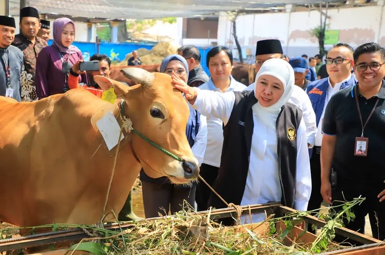 PDI-P dan Golkar "Ingin" Khofifah Maju Pilgub Jatim 2024