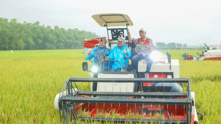 Produksi Padi Menurun, Tapi Nilai Tukar Petani (NTP) Lamongan Naik