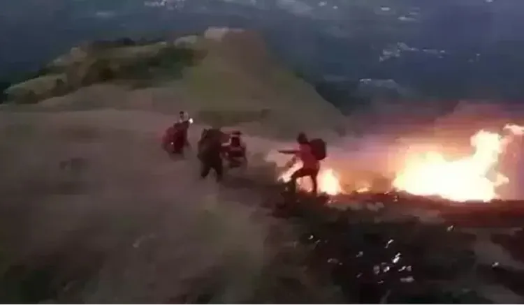 Ulah Manusia, 15 Hektar Hutan Gunung Bekel di Mojokerto Terbakar