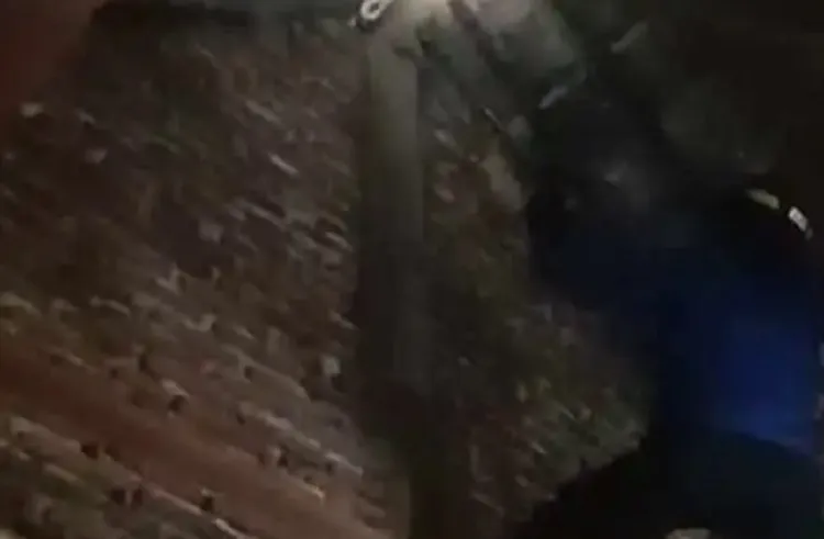 Damkar Evakuasi Ular Sepanjang 2,5 Meter 'Nangkring' di Atap Rumah Warga