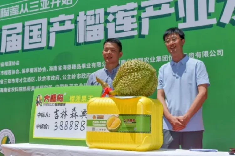 Mantab! Panen Durian 6,91 Kg, Pria Ini Berhasil Lelang Seharga Rp 821 Juta