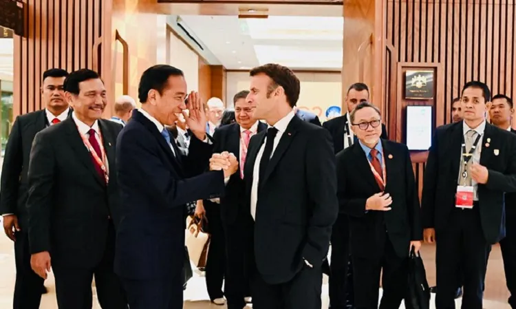 Indonesia Kantongi 4 LoI dari Calon Investor Prancis ke IKN