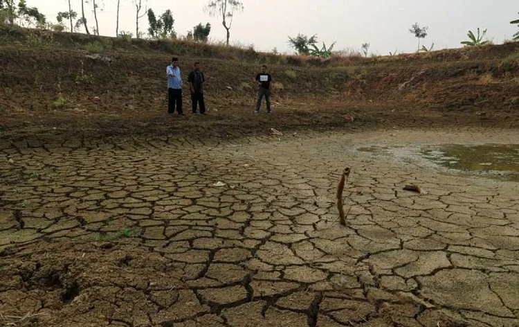 Musim Kemarau Panjang, 500 Lebih Embung di Bojonegoro Retak-retak Mengering
