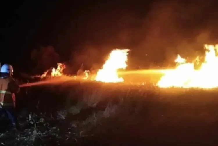 Seluas 1 Hektar Lahan Ilalang di Jalan Tol Surabaya-Mojokerto KM 715 Terbakar