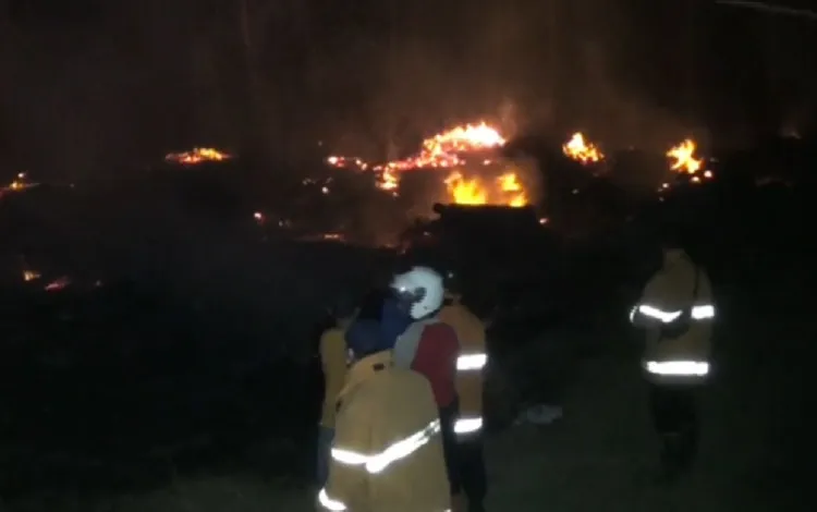Ribuan Kubik Kayu di TPK Banjarejo Ngawi Ludes Terbakar, Kerugian Capai Rp100 Juta