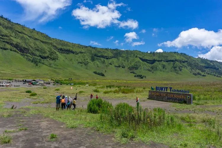 Kawasan Savana Gunung Bromo di TNBTS Mulai Ditumbuhi Vegetasi, Nilai Kerugian Capai Miliaran