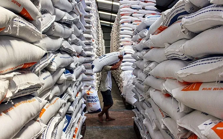 Bulog Kontak Dagang Dengan 4 Negara, Beras 700.000 Ton Akan Masuk RI