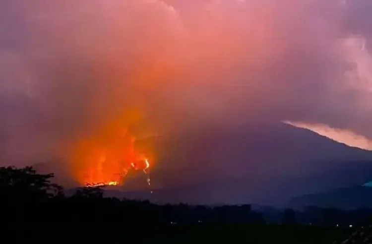 Gunung Lawu Terbakar Parah, Kondisi Warung Mbok Yem Jadi Sorotan: Semoga Selamat Ya Allah