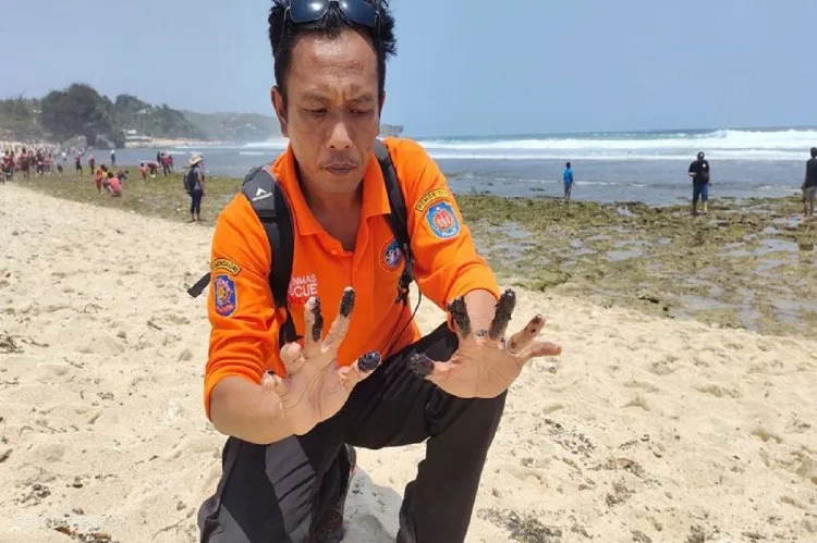 Dua Pantai di Gunungkidul Tercemar Limbah Solar, Banyak Biota Laut yang Mati