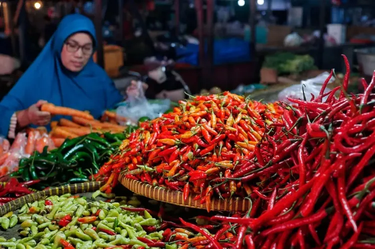 Harga Cabai Meroket 2 Kali Lipat, Sentuh Rp100 Ribu Per Kilogram: Petani Sumringah