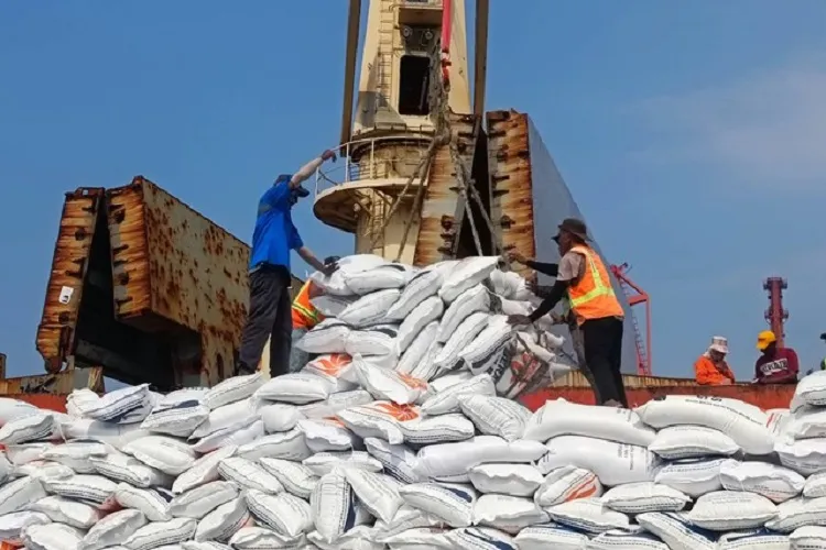 China dan India Komitmen Pasok Impor Beras ke Indonesia, Total 2,5 Juta Ton