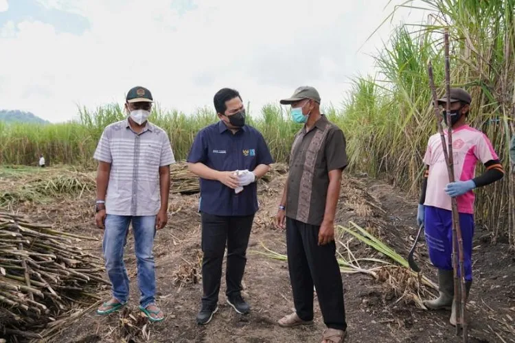 Sayangkan Indonesia Jadi Pengimpor Terbesar, Erick Thohir Bakal Targetkan Swasembada Gula