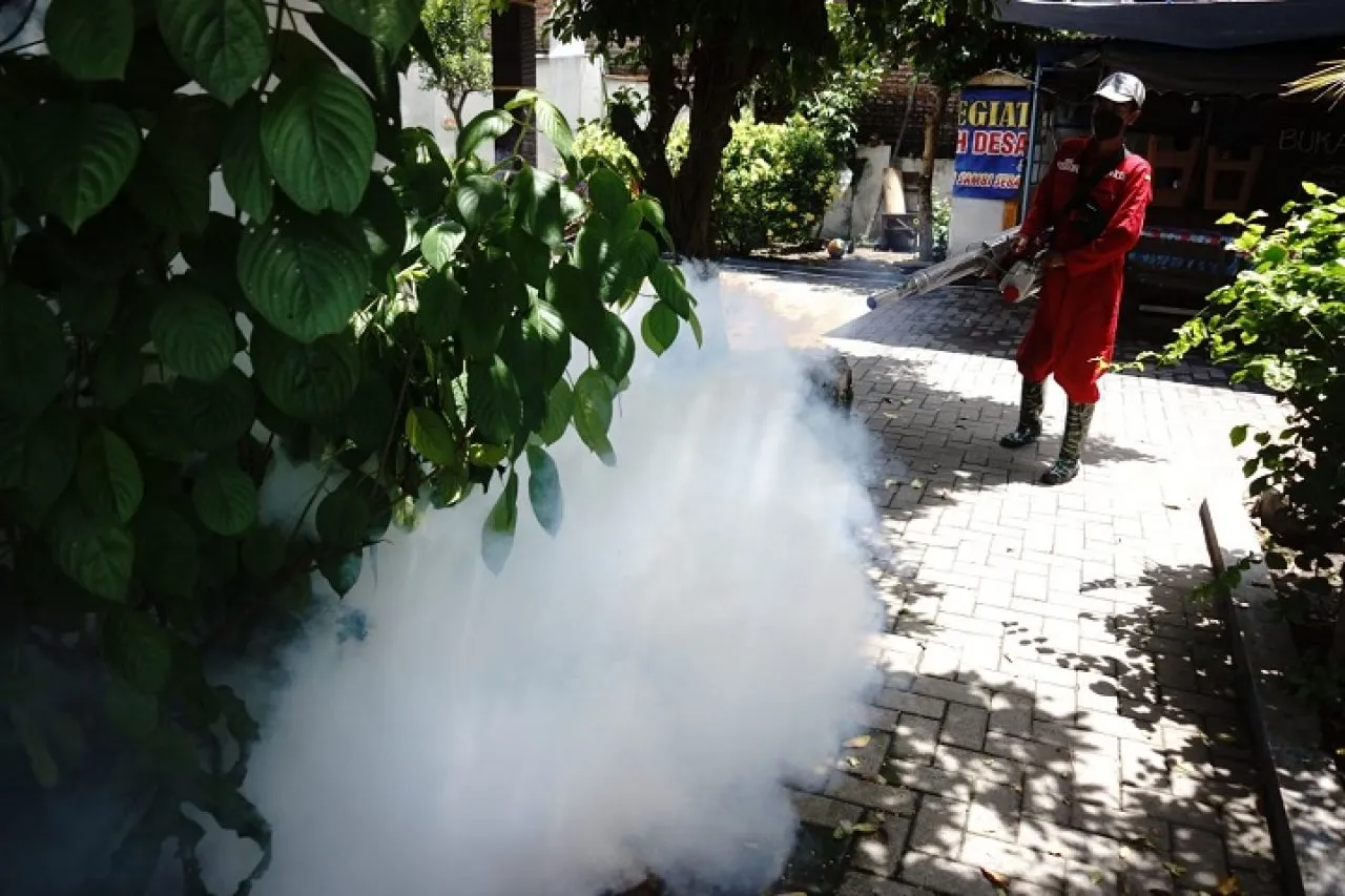 Puluhan Warga 2 Desa di Ngusikan Jombang Terkena Chikungunya