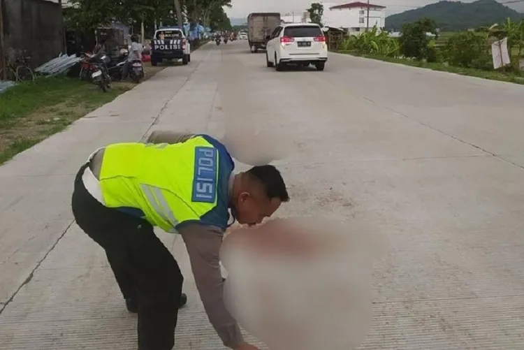 Viral, Siswi SMK Tewas Tertimpa Baliho Caleg DPR RI, Bawaslu Beri Wejangan Ini