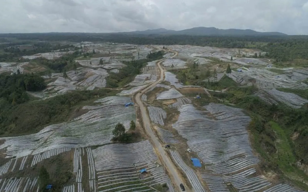 Cak Imin dan Mahfud Klaim Food Estate Dinilai Gagal dan Abaikan Petani Lokal, Apa Iya?