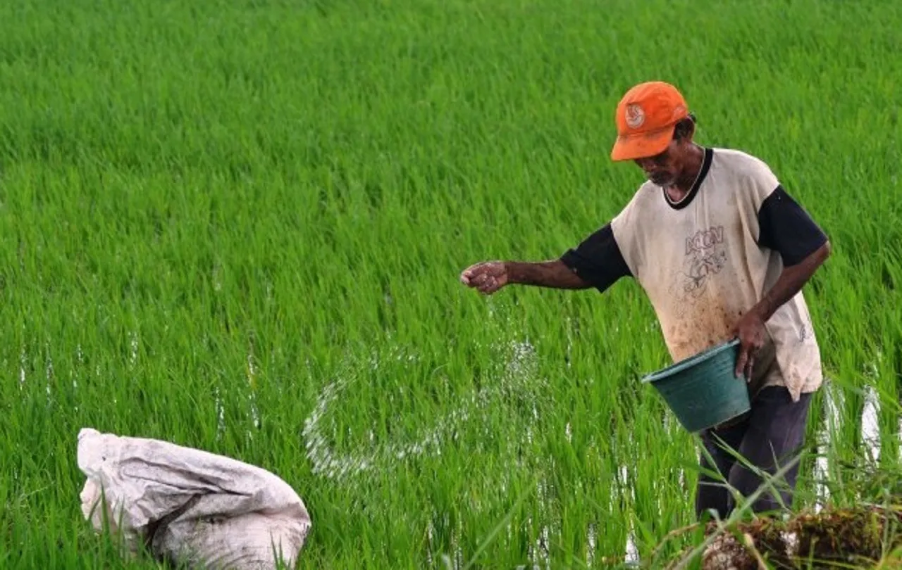 Kementan Bakal Cabut Izin Distributor dan Pengecer Jika Endapkan Stok Pupuk Subsidi