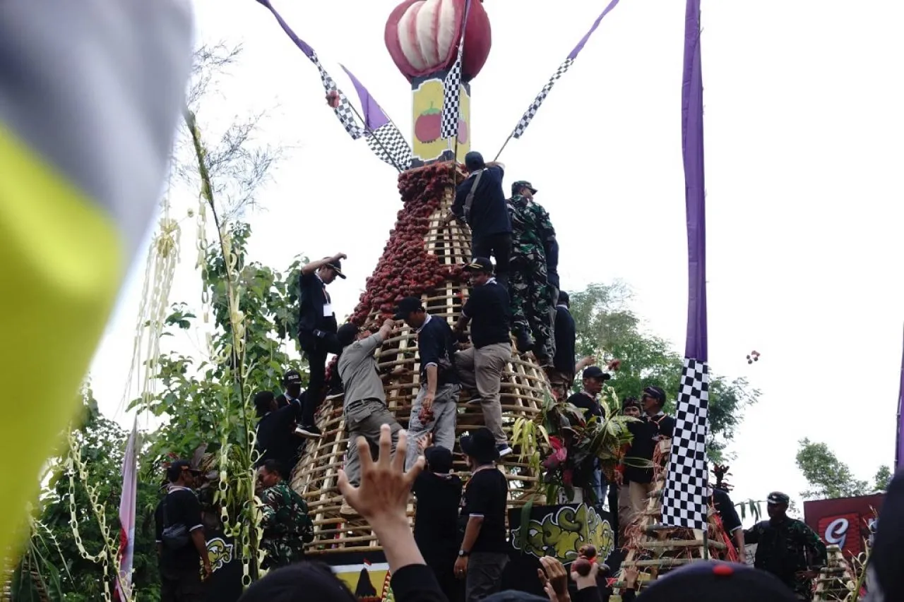 Ribuan Masyarakat Berebut 2.024 Kilogram Manggis Gratis di Wonosalam Jombang