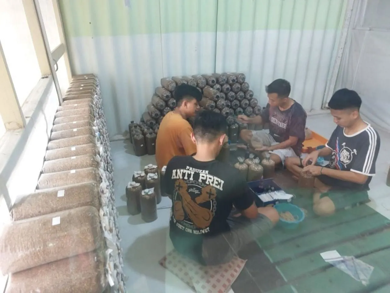 50 WBP Lapas Malang Budidaya Jamur Tiram