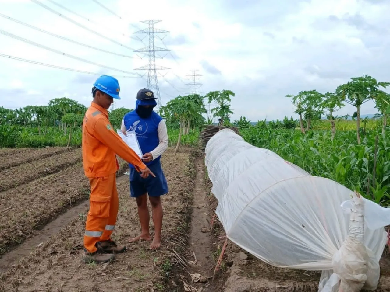 Jaga Stabilitas Listrik, PLN UIT JBM Sosialisasikan Bahaya Benda Asing di Sekitar Jaringan