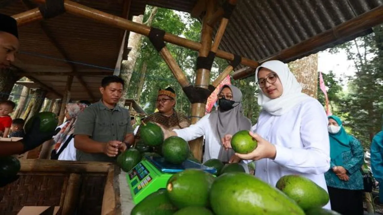 Bupati Ipuk Ngantor di Desa Bumiharjo