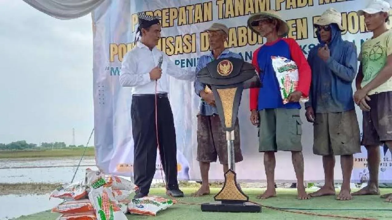 Mentan Warning Oknum Jual Pupuk di Atas HET