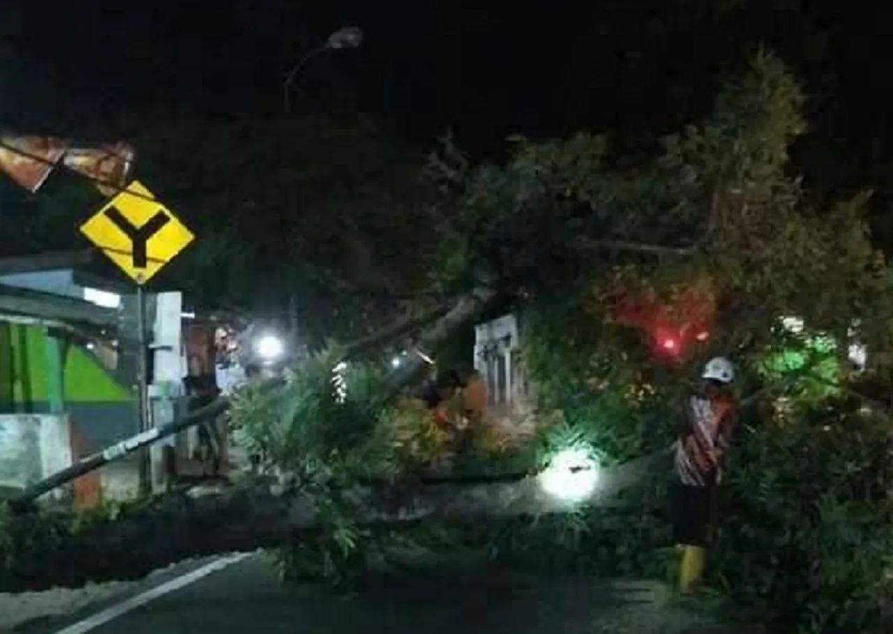 Pulang Shalat Tarawih, Dua Pengendara Motor Tertimpa Pohon Tumbang di Wlingi Blitar
