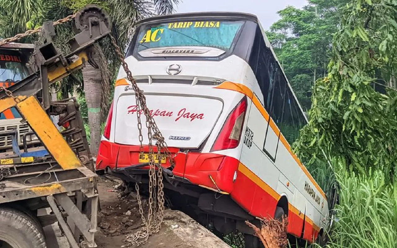 Gegera Hindari Kijang Innova yang Ngantuk, Bus Harapan Jaya Terperosok ke Sawah, 12 Orang Luka