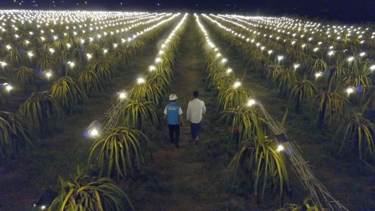 Garap Potensi Electrifying Agriculture, PLN Gelar Audiensi Bersama Bupati Kediri