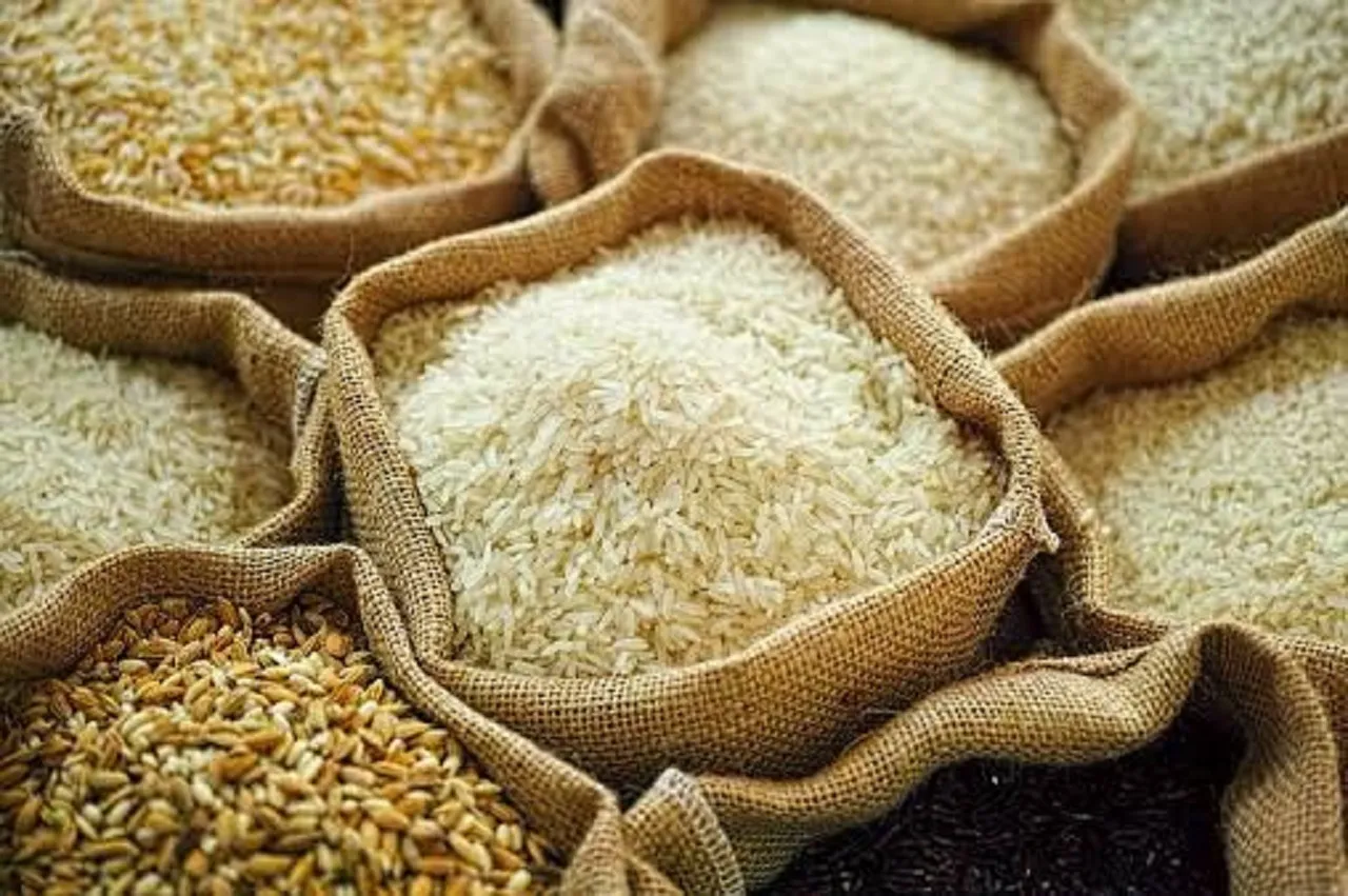 Menperin: Beras Analog Sagu Jadi Alternatif Pangan Utama Pengganti Beras Padi