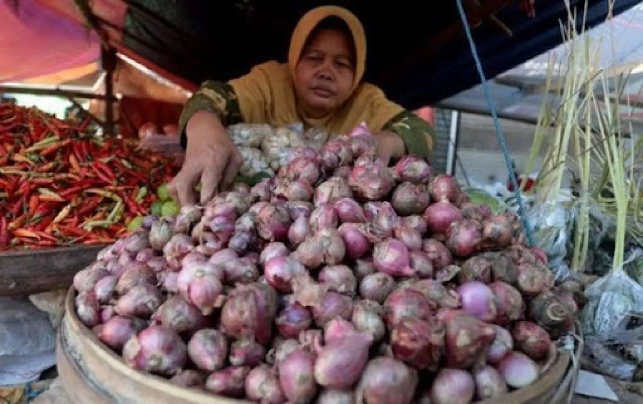 Bapanas: Harga Bawang Merah Turun Bulan Depan