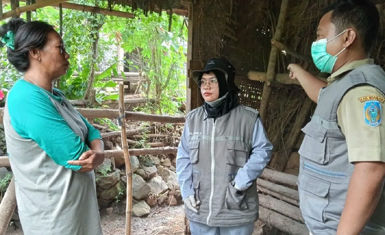 Warga Nganjuk Merugi, Puluhan Sapi Mati Mendadak Keracunan