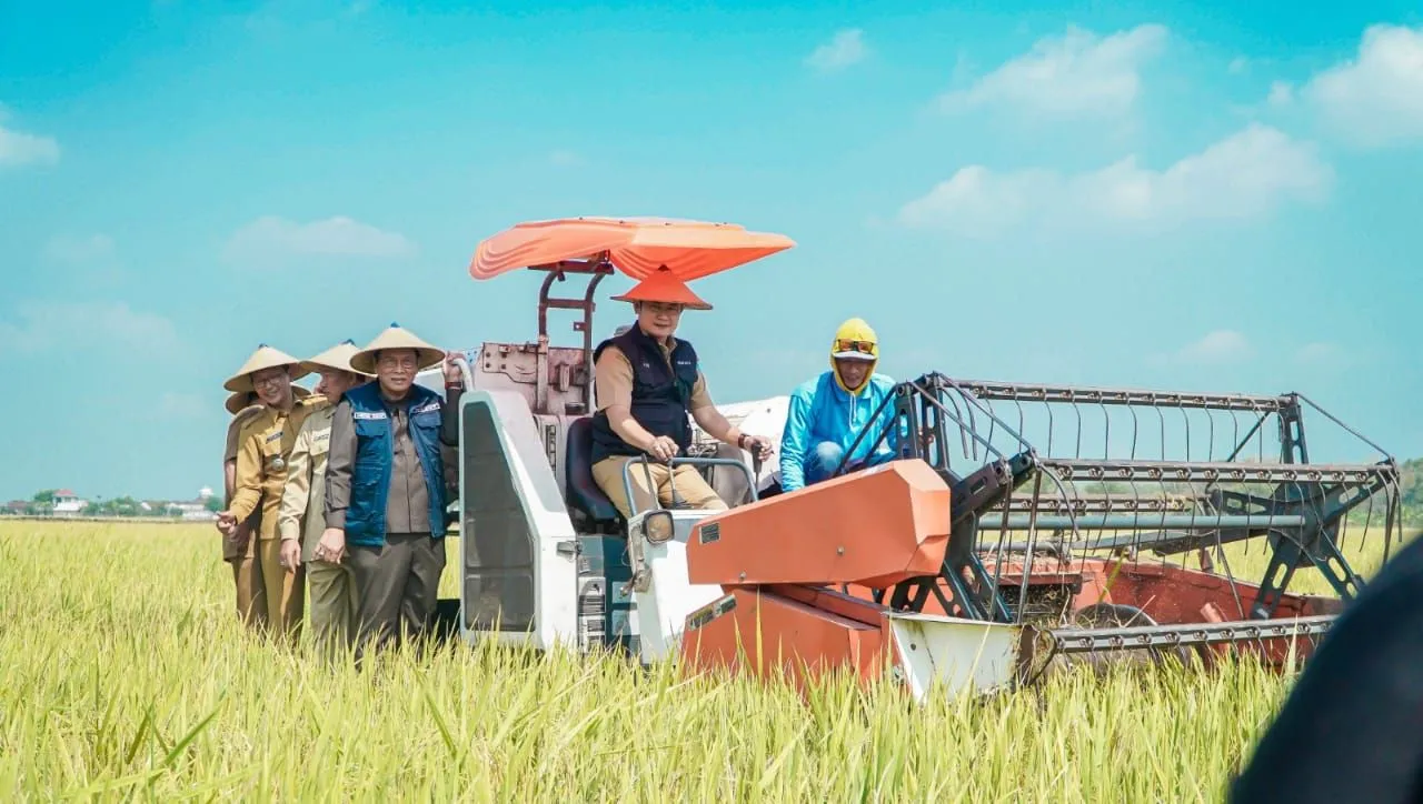 Panen Padi Triwulan I 2024 di Lamongan Berhasil dan Sesuai Jadwal