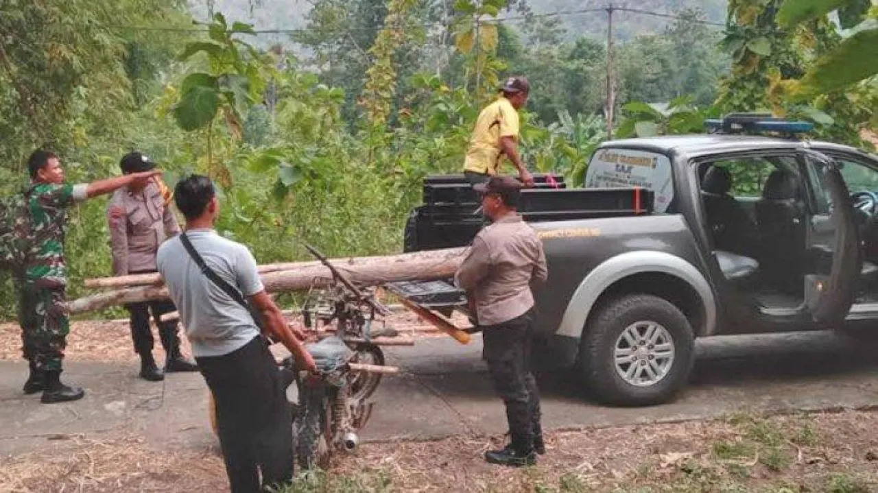 Petugas Gabungan di Tulungagung Amankan Pelaku Illegal Logging