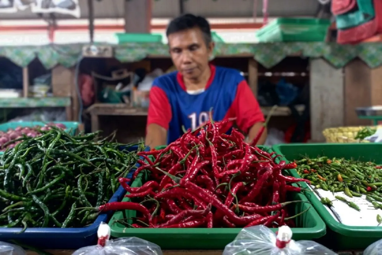 Musim Tanam Picu Meroketnya Harga Cabai Keriting di Malang
