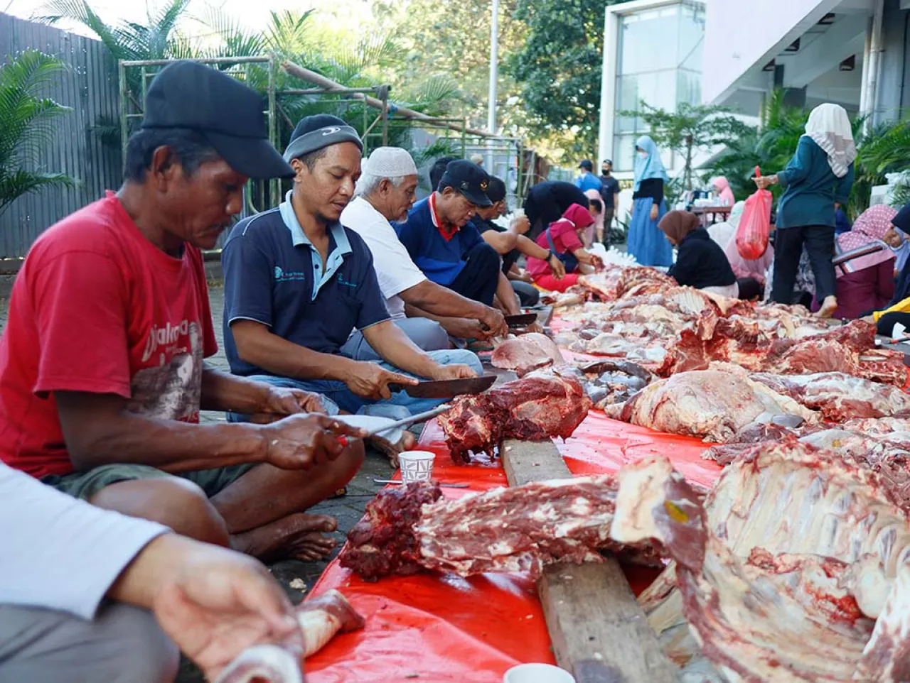 Pakar : Pentingnya Langsung Memasak Daging Kurban